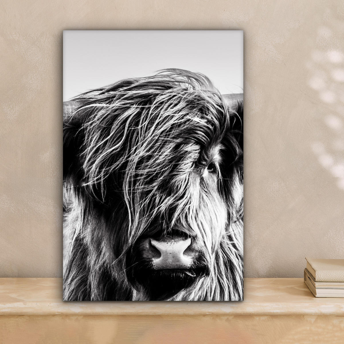 OBRAZ NA PLÁTNĚ Kráva - Skotský horal - Černá - Bílá - Zvíře - Příroda - Divoká zvěř 20x30 cm - černá, textil (20/30cm) - MuchoWow