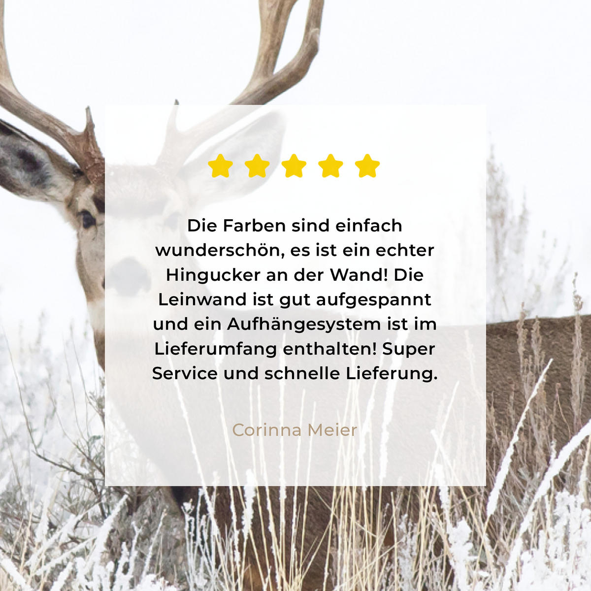 LEINWANDBILD Hirsche - Winter - Schnee - Tiere - Jahreszeiten - Weiß 20x30 cm - Hellbraun, Textil (20/30cm) - MuchoWow