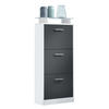 SCHUHSCHRANK Lavia Front in Schwarz mattt - Schwarz, Holzwerkstoff (46/128/23cm) - Vladon