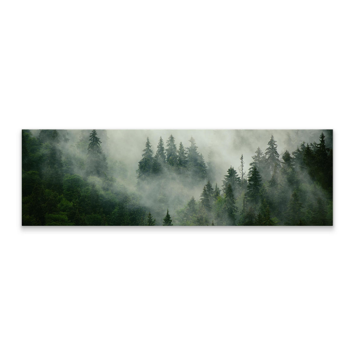 PANORAMABILD Wald im Nebel Bäume Natur 3D 145x45 cm - Grün, Textil (145/45cm) - Muralo