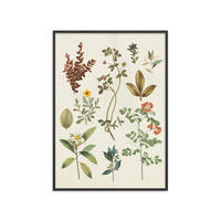 POSTER mit Rahmen Wild Apple - Victorian Garden III - Schwarz/Grün, Holz/Papier (30/40cm) - Poster&Frame