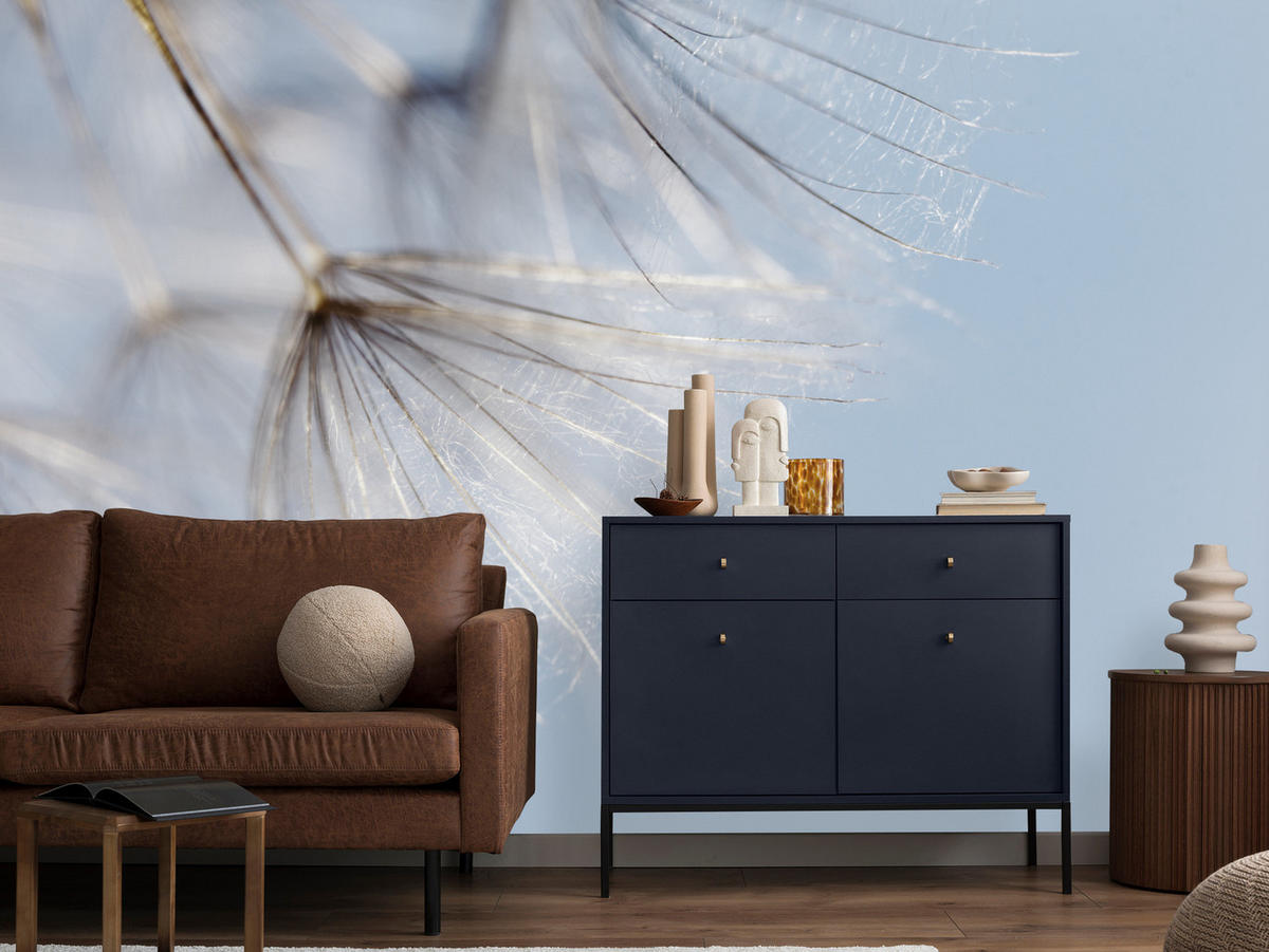 FOTOTAPETE für Schlafzimmer Zarte Löwenzahnblüten im Wind 400x280 - Braun/Weiß, Papier (400/280cm) - Muralo