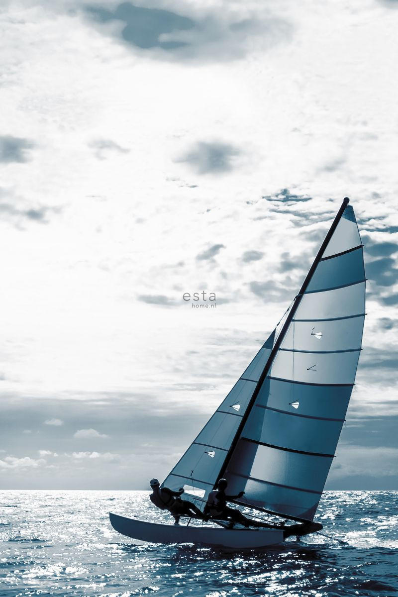 FOTOTAPETE Segelboot 186 x 279 cm - Blau, Papier (186/279cm) - ESTAhome