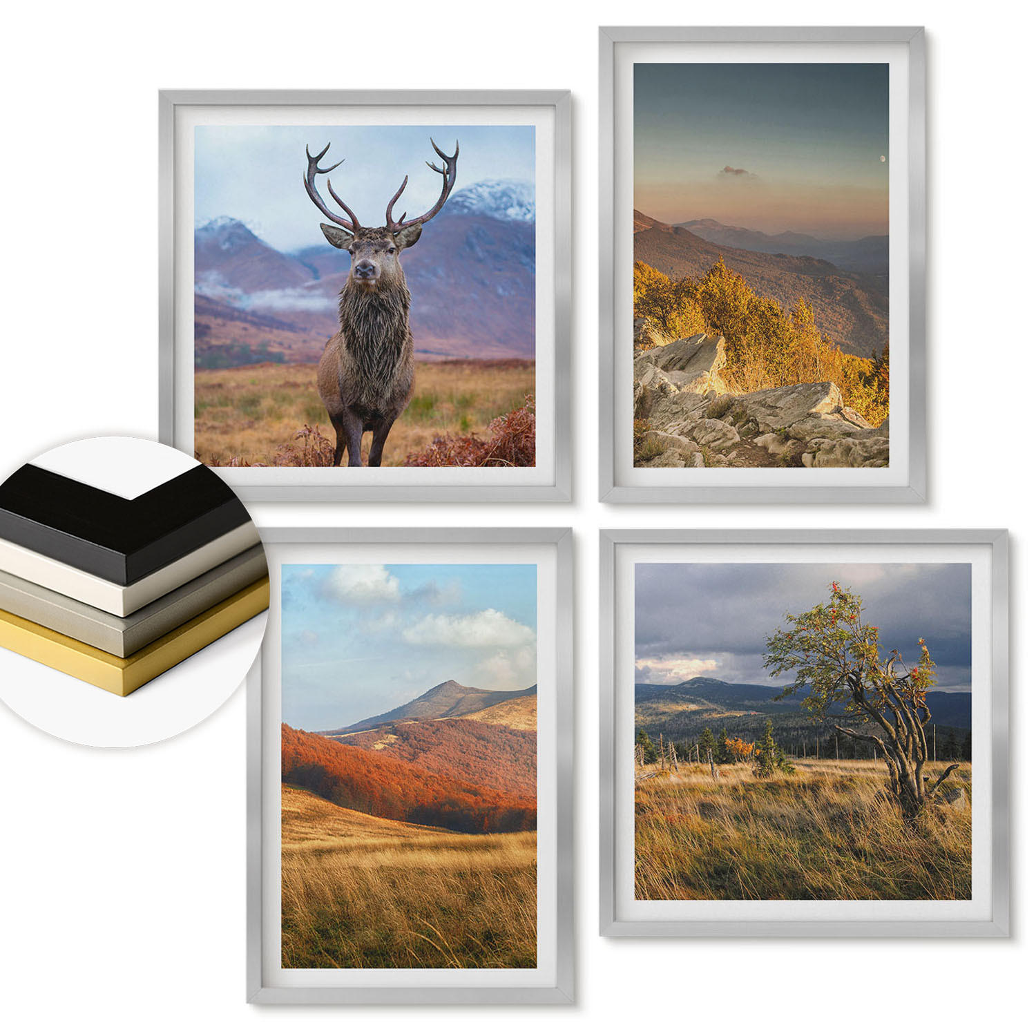 WANDBILDER 4er Set - 50x50 cm & 40x60 cm Silberner Rahmen - Berglandschaften, Hirschgras - Silberfarben, Kunststoff (50/50cm) - ArtPrintCave
