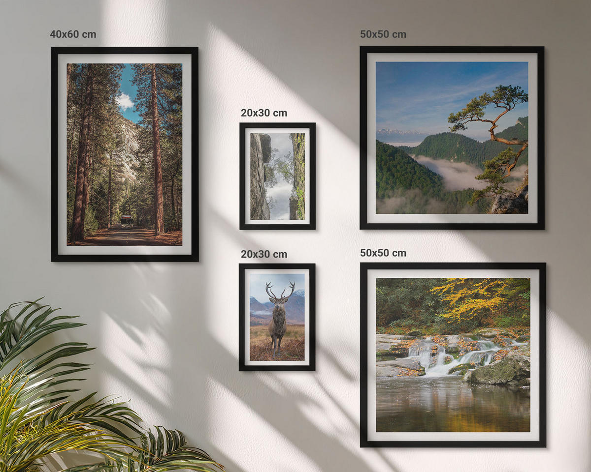 WANDBILDER 5er-Set - 50x50 cm & 20x30 cm & 40x60 cm Schwarzer Rahmen - Wasserfall Wald Berge Hirsch Natur - Schwarz, Kunststoff (40/60cm) - ArtPrintCave
