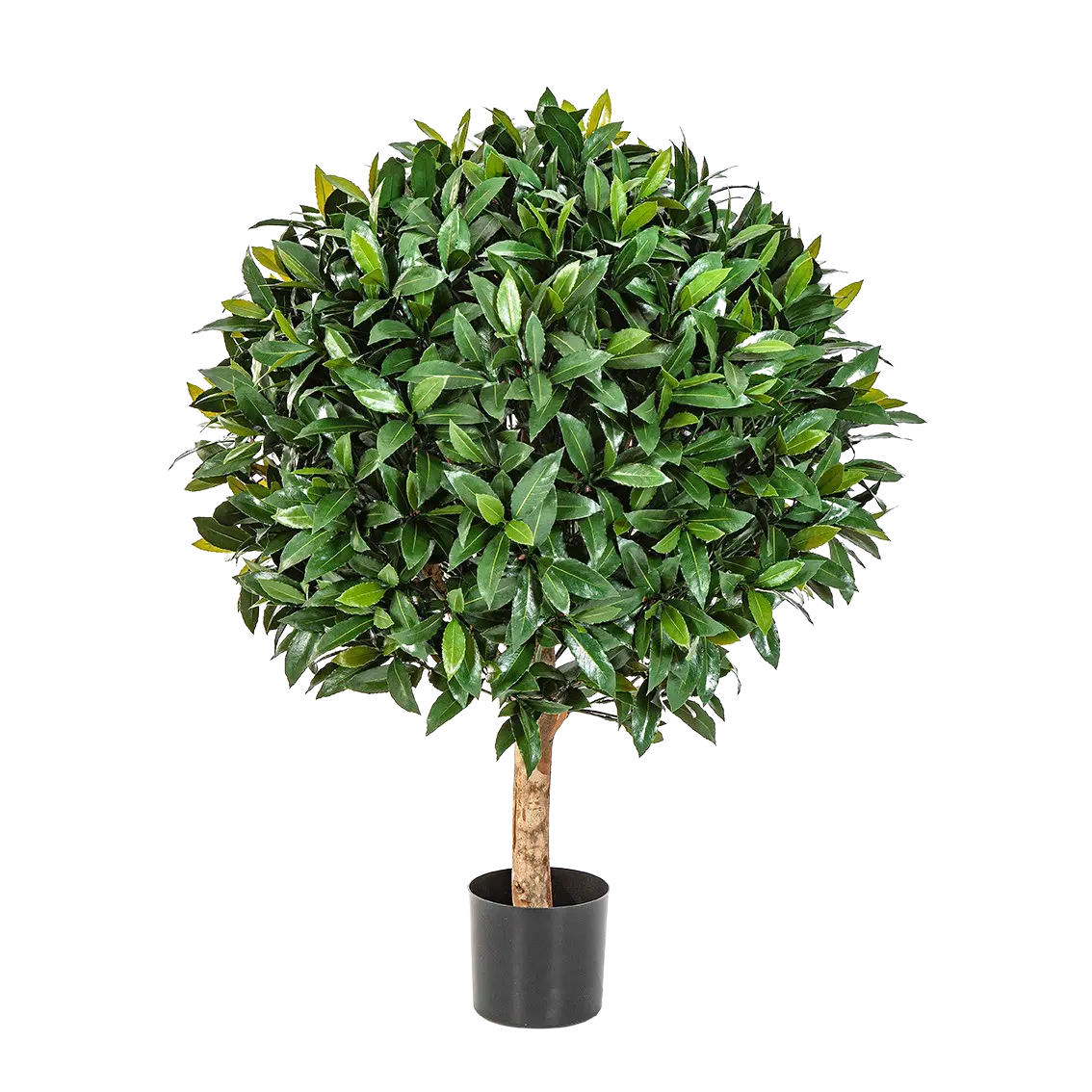 KUNSTBAUM Künstlicher Lorbeer - Tessa 110 cm - Grün, Kunststoff (110cm) - aplanta