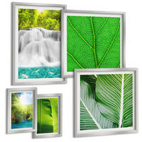 BILDER SET 5er Set - 50x50 cm & 20x30 cm & 40x60 cm Silberner Rahmen - Nahaufnahme von tropischen Blättern - Silberfarben, Kunststoff (40/60cm) - TULUP