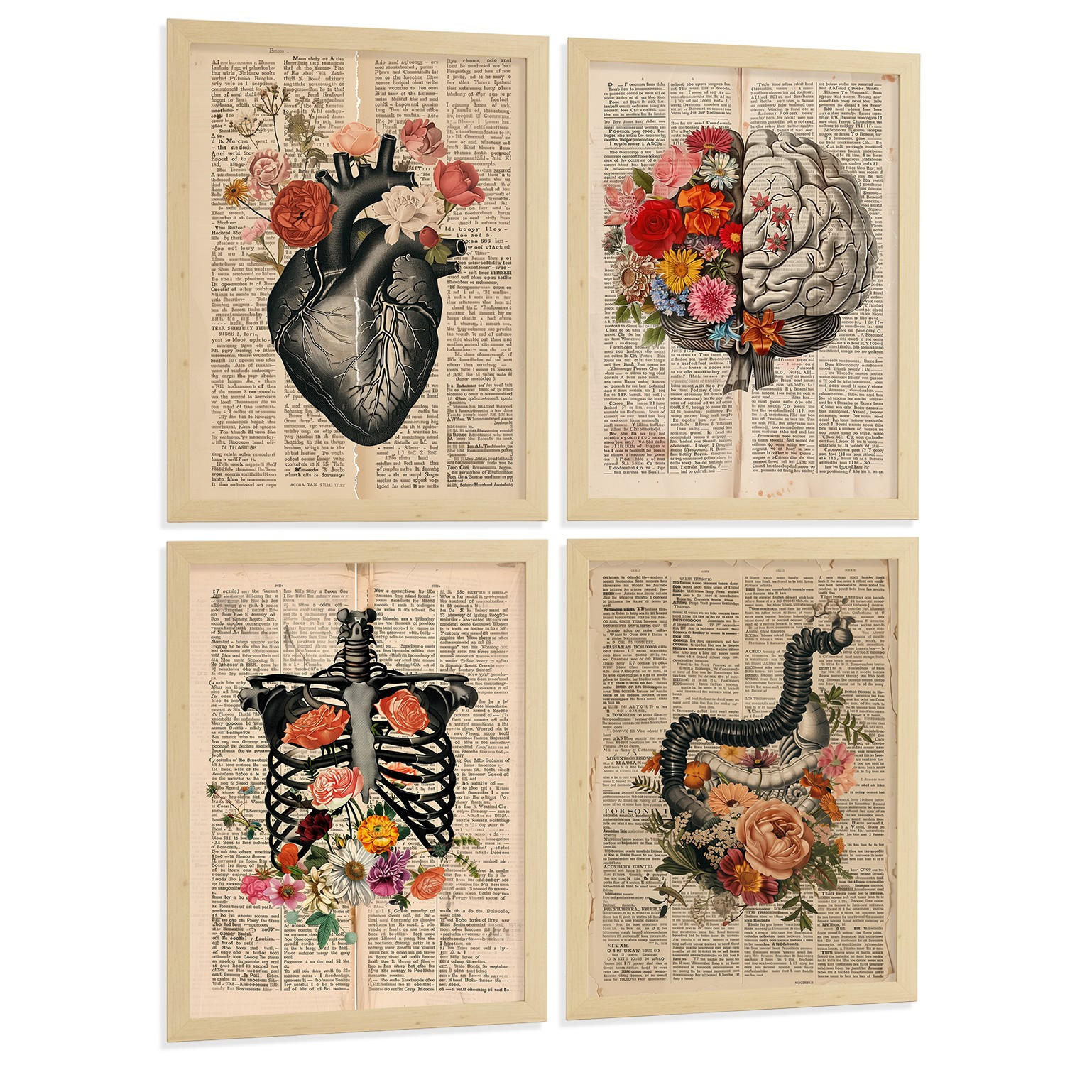POSTER Set aus 4 Anatomie Drucke und Wandbilder mit Herz Gehirn Skelett und Darm Antiker Hintergrund Medizinische Wanddekoration Größe Rahmenlos A4 - Klar, Papier (21/29.7/3cm) - Nacnic