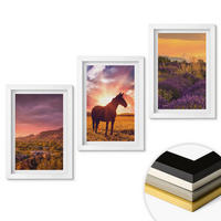 WANDBILDER 3er-Set - 20x30 cm Weißer Rahmen - Berglandschaft mit einem Pferd - Weiß, Kunststoff (20/30cm) - ArtPrintCave