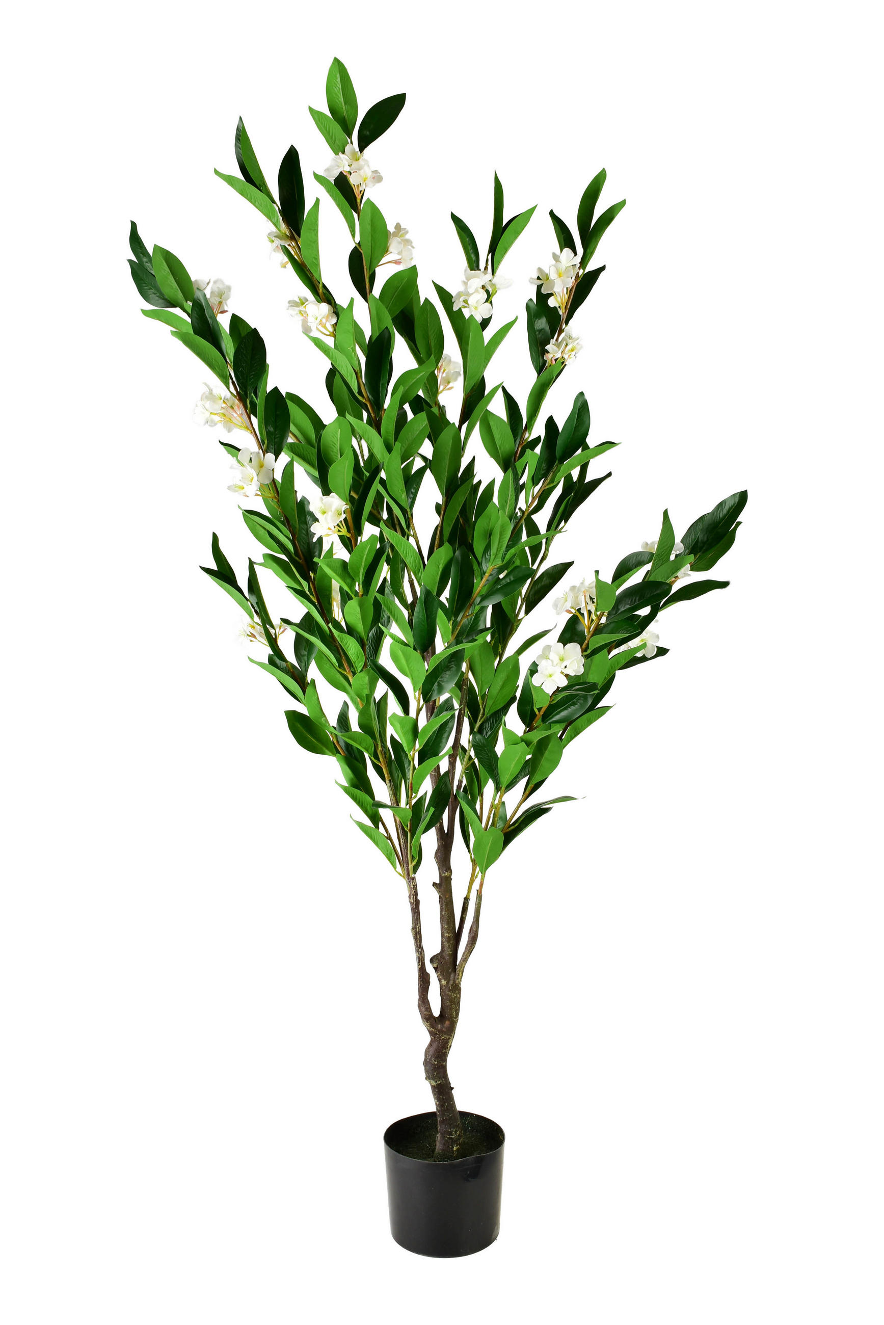 KUNSTBLUME Viridis Weiß 15x14x145 cm Kunststoff - Weiß, Kunststoff (145cm) - Mondex