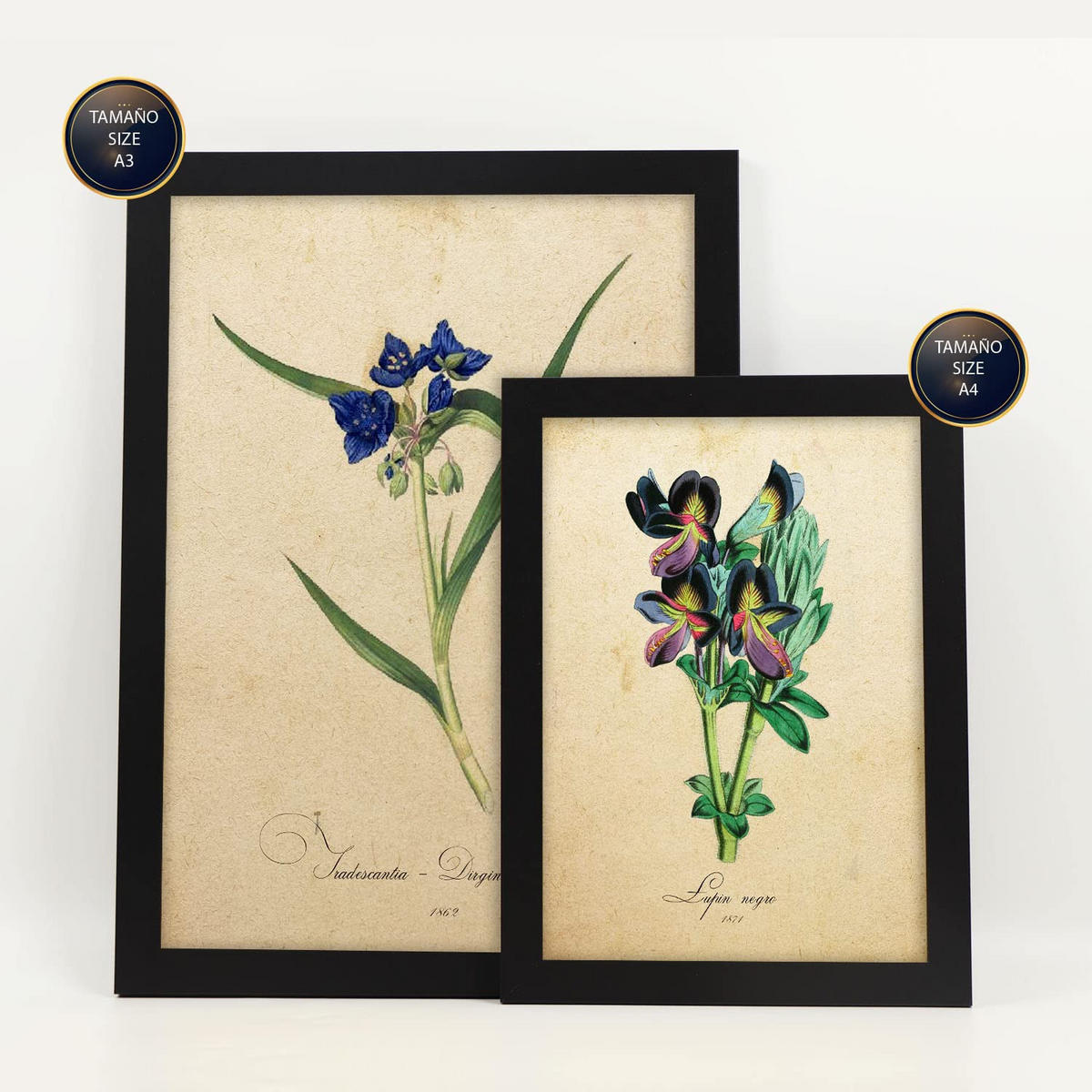 POSTER Set Mit 6 Blumen in Blau, Rot und Orange Größe A3 & A4 Schwarzer Rahmen - Schwarz, Papier (29.7/1cm) - Nacnic