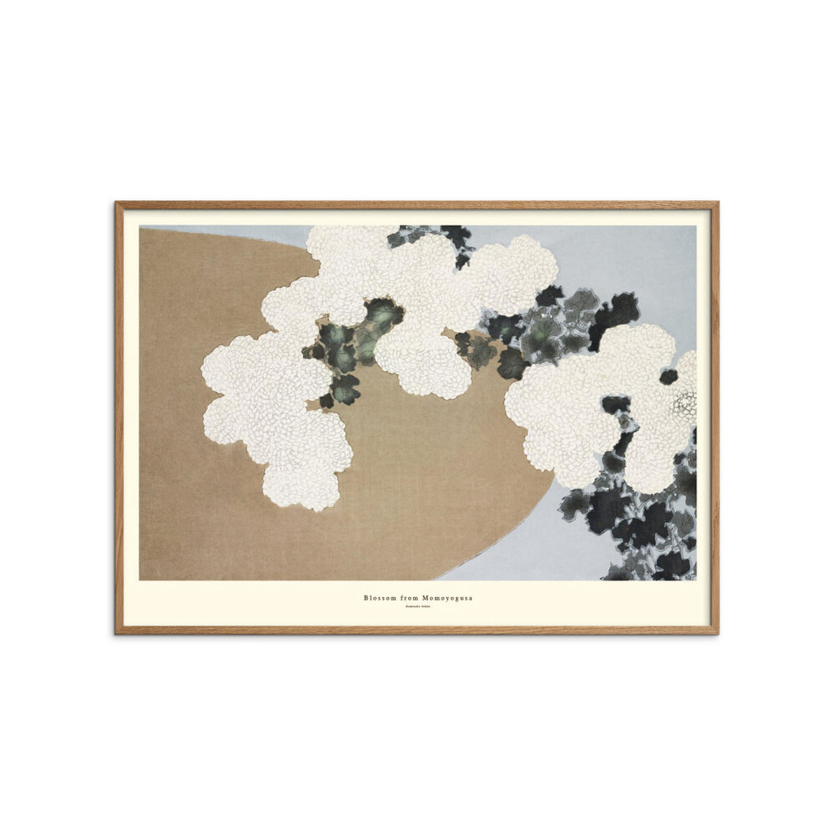 POSTER mit Rahmen A.P. Atelier - Blossom from Momoyogusa - Eichefarben/Naturfarben, Holz/Papier (50/70cm) - Poster&Frame