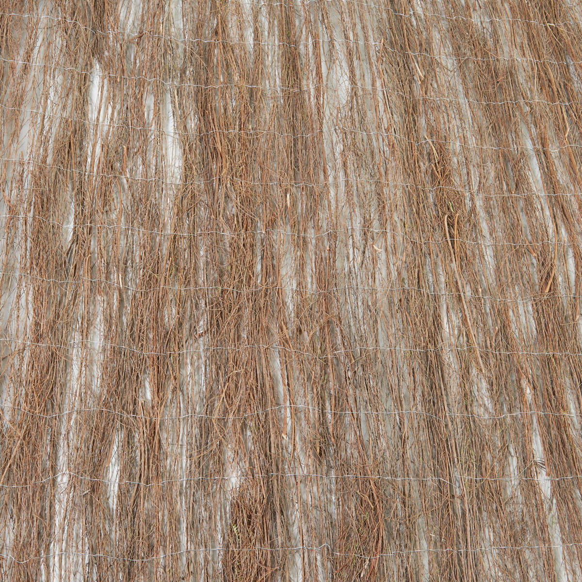 REISIGZAUN Brielle - Naturfarben, Naturmaterialien (150/0.6cm) - casa.pro
