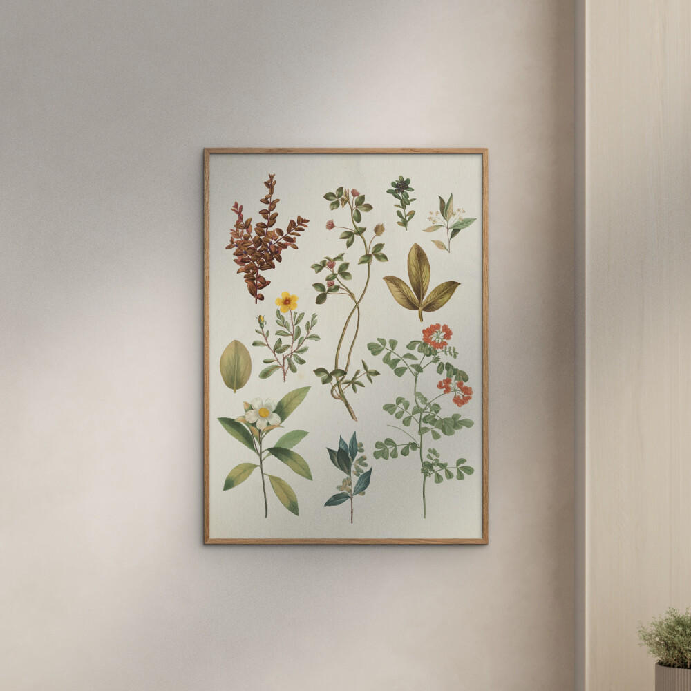 POSTER mit Rahmen Wild Apple - Victorian Garden III - Eichefarben/Grün, Holz/Papier (50/70cm) - Poster&Frame