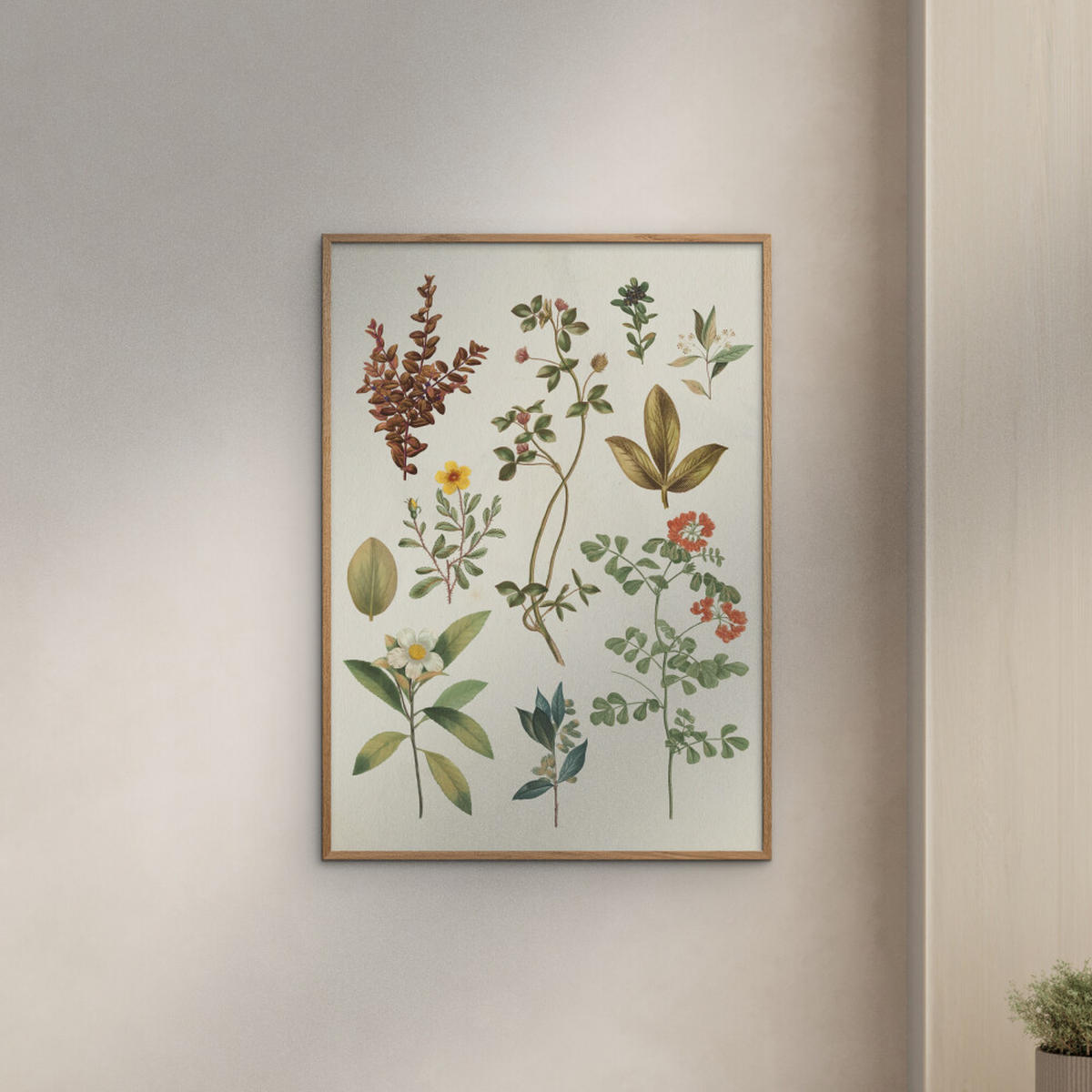 POSTER mit Rahmen Wild Apple - Victorian Garden III - Eichefarben/Grün, Holz/Papier (50/70cm) - Poster&Frame