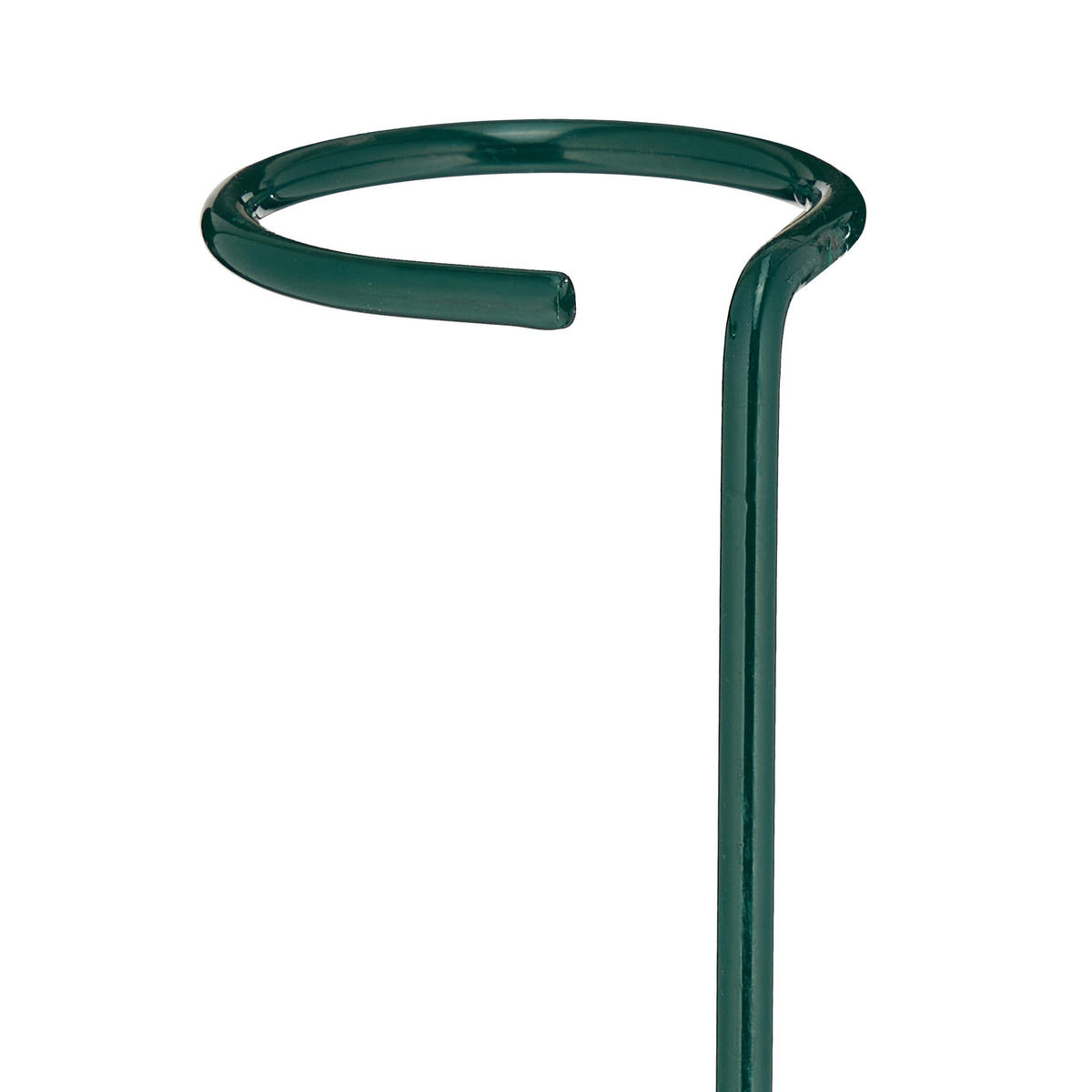 10XPFLANZSTÄBE - Dunkelgrün, Metall (6/80/6cm) - Relaxdays
