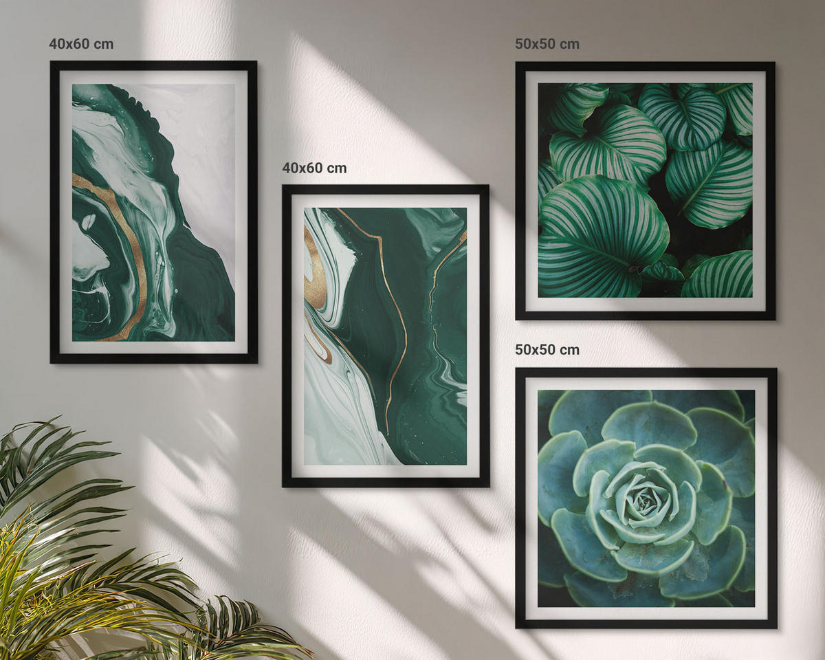 BILDER SET 4er Set - 50x50 cm & 40x60 cm Schwarzer Rahmen - Abstrakte Muster von Sukkulentenblättern - Schwarz, Kunststoff (50/50cm) - TULUP