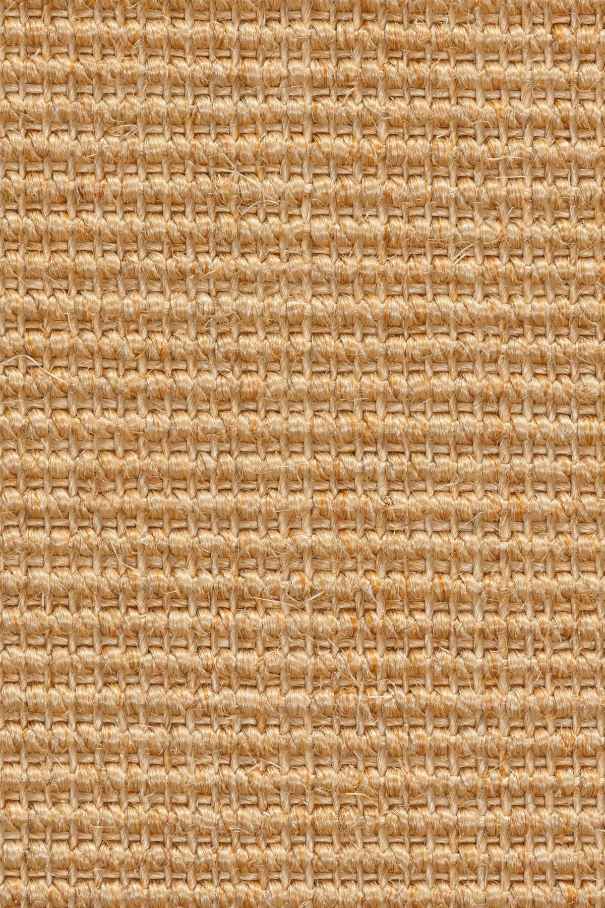 TEPPICH Sisal Manaus chablis/beige 300x300cm - Beige/Naturfarben, Textil (300/300cm) - Astra