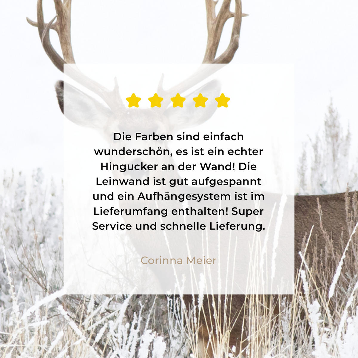 LEINWANDBILD Hirsche - Winter - Schnee - Tiere - Jahreszeiten - Weiß 60x80 cm - Hellbraun, Textil (60/80cm) - MuchoWow