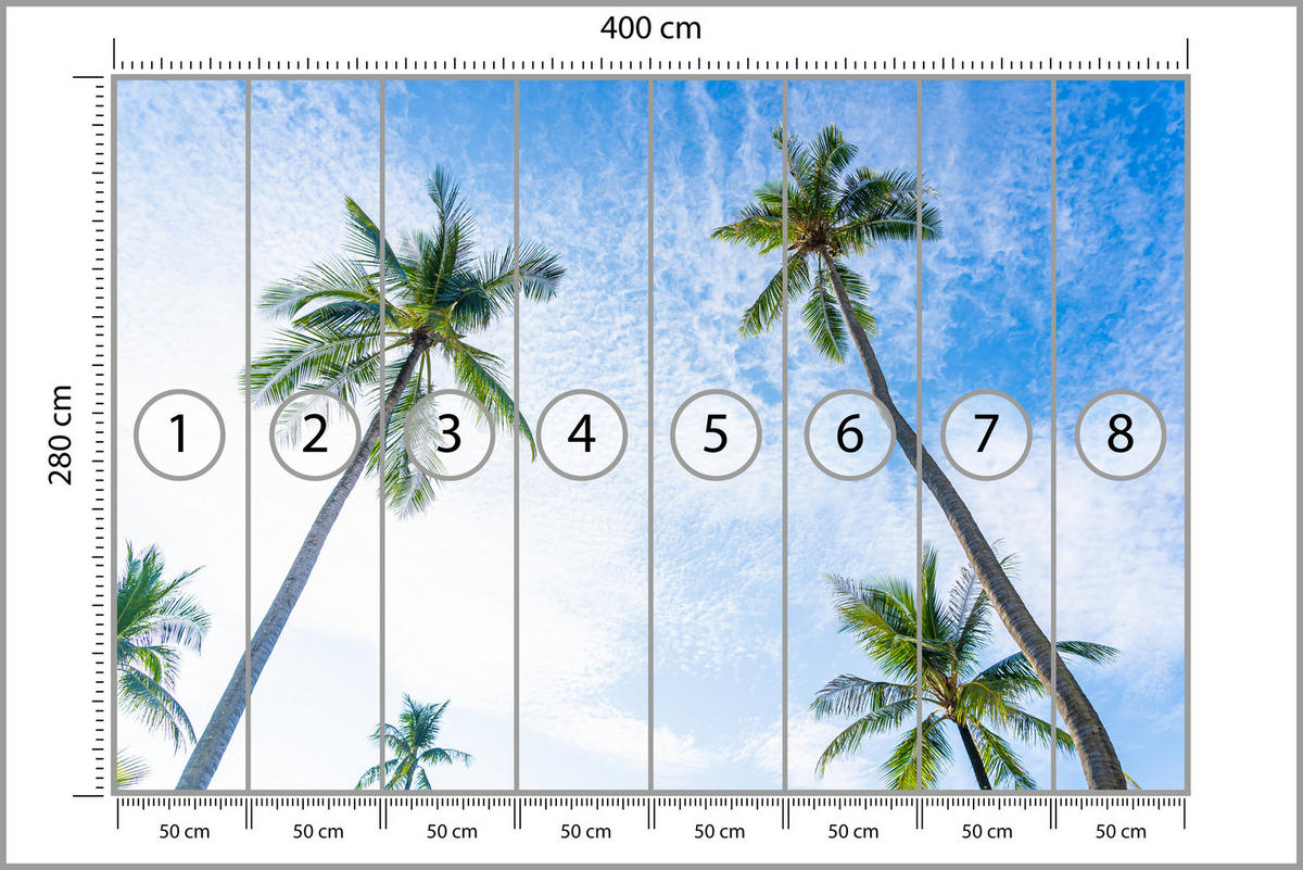 FOTOTAPETE für Badezimmer Palmen Kokos Himmel Untenblick 400x280 - Blau/Weiß, Papier (400/280cm) - Muralo