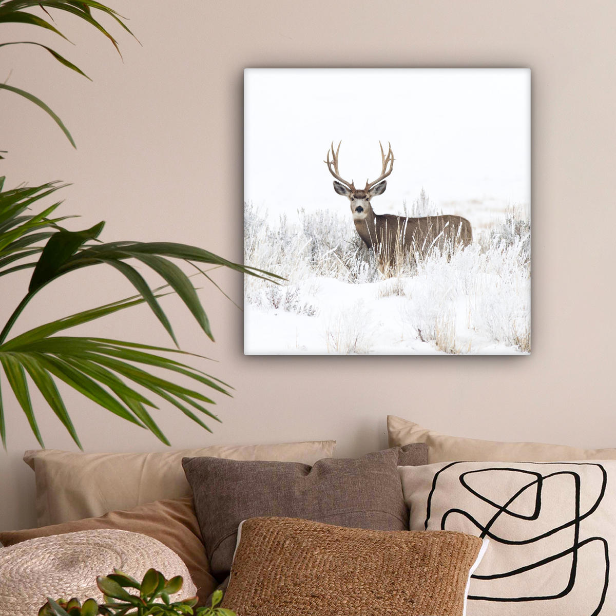 LEINWANDBILD Hirsche - Winter - Schnee - Tiere - Jahreszeiten - Weiß 50x50 cm - Hellbraun, Textil (50/50cm) - MuchoWow