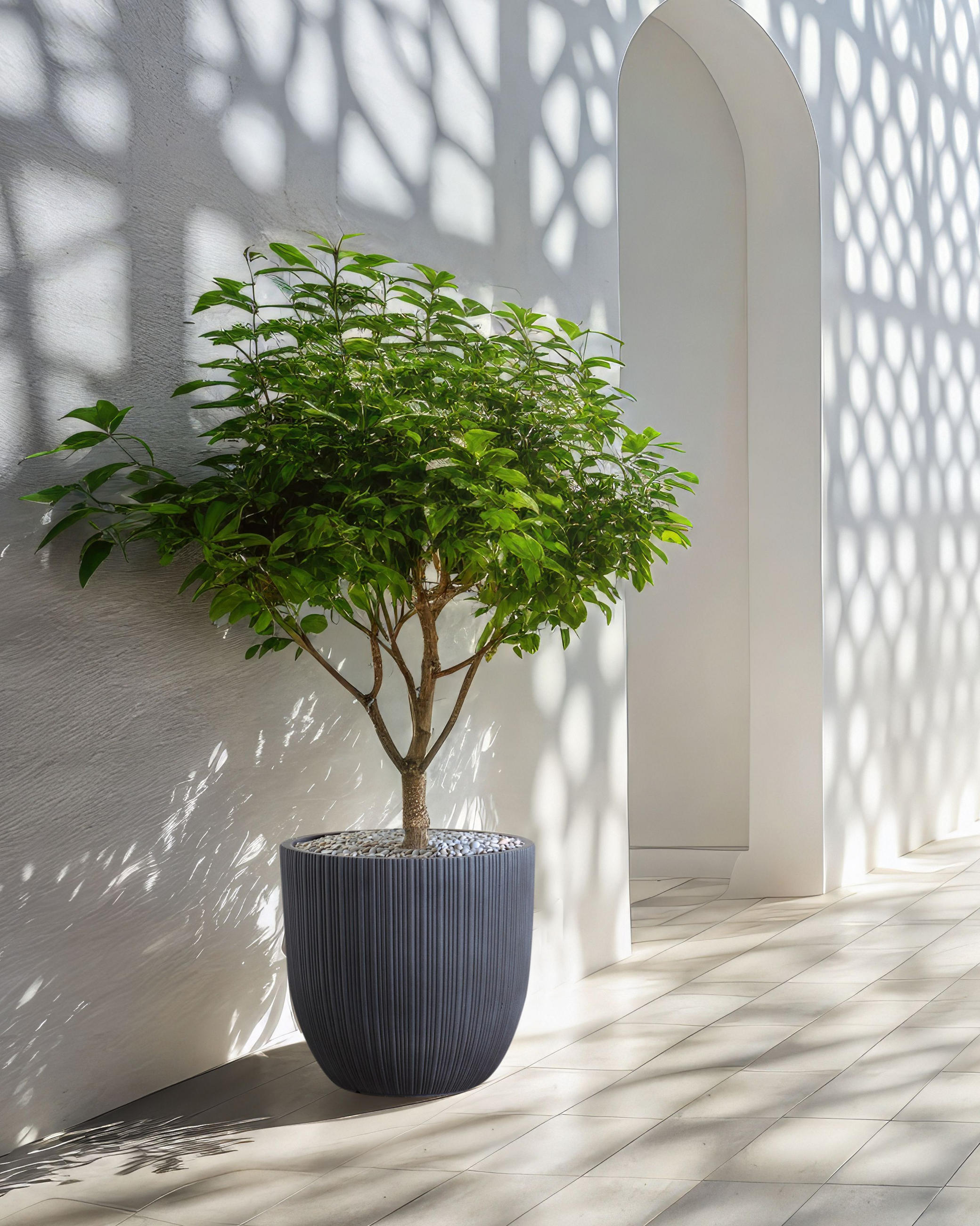 BLUMENTOPF Grau Fraxinus - Grau, Naturmaterialen (39cm) - Beliani