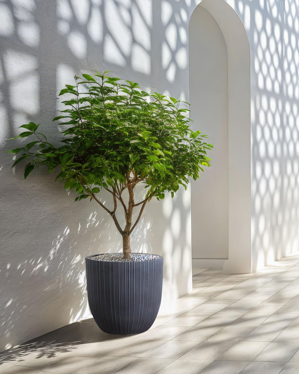 BLUMENTOPF Grau Fraxinus - Grau, Naturmaterialien (39cm) - Beliani