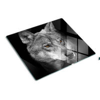 GLASPLATTE 60x52 cm Wolf - Grau, Glas (60/52cm) - TULUP