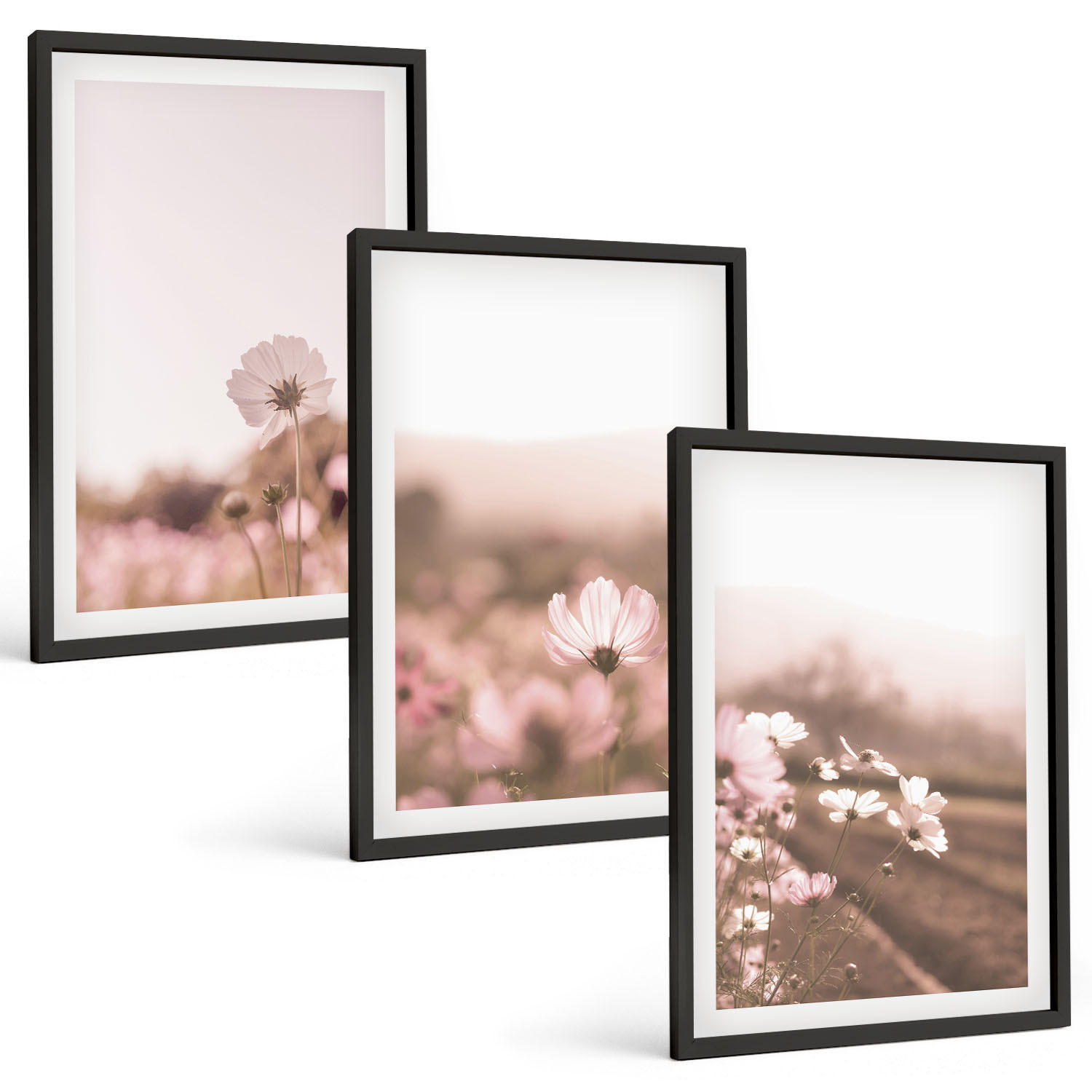 BILDER SET 3er Set - 40x60 cm Schwarzer Rahmen - Sommerlandschaften mit Wildblumenwiesen - Schwarz, Kunststoff (40/60cm) - TULUP