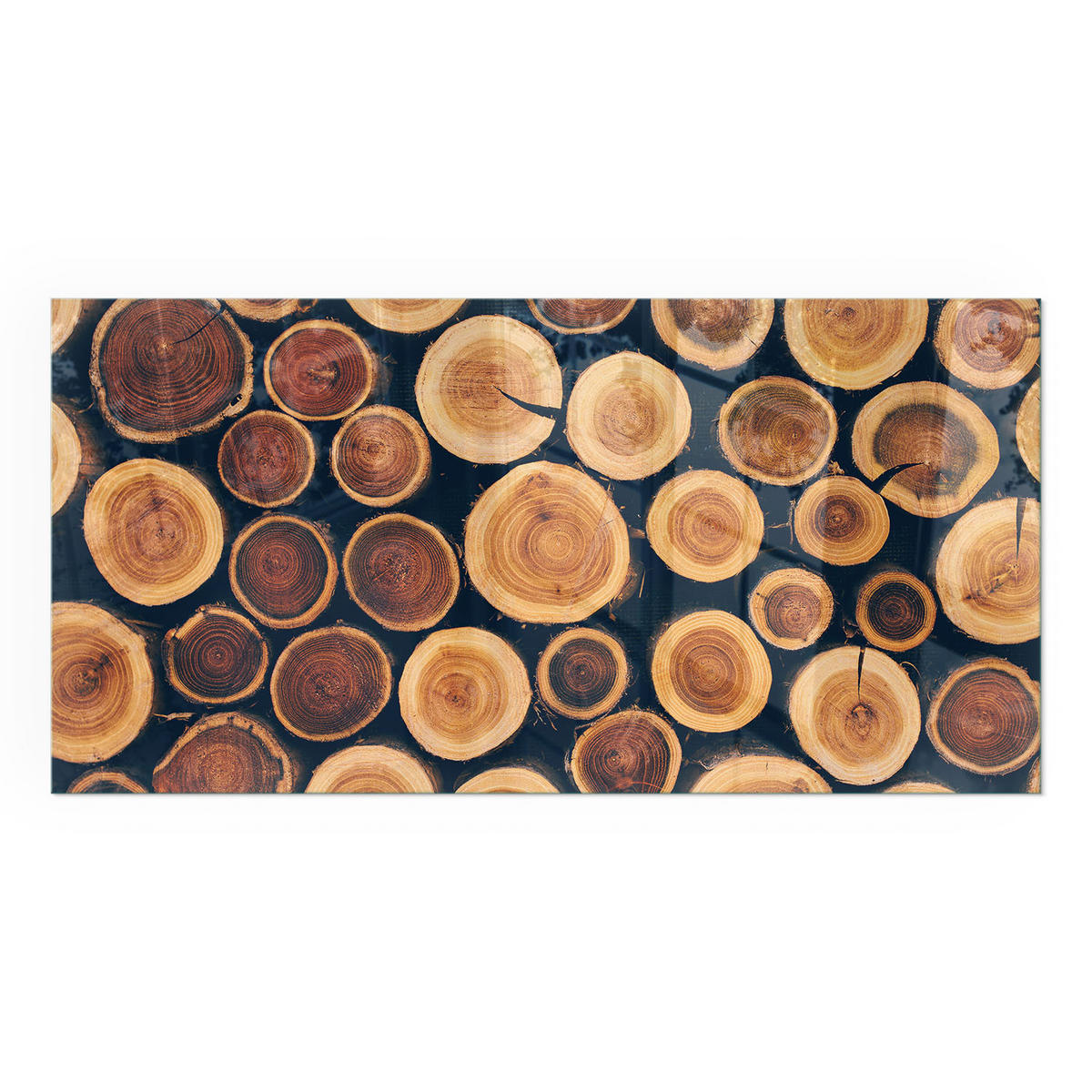 GLASPLATTE für Kamin 100x50 cm - Braun, Glas (100/50/0.4cm) - TULUP