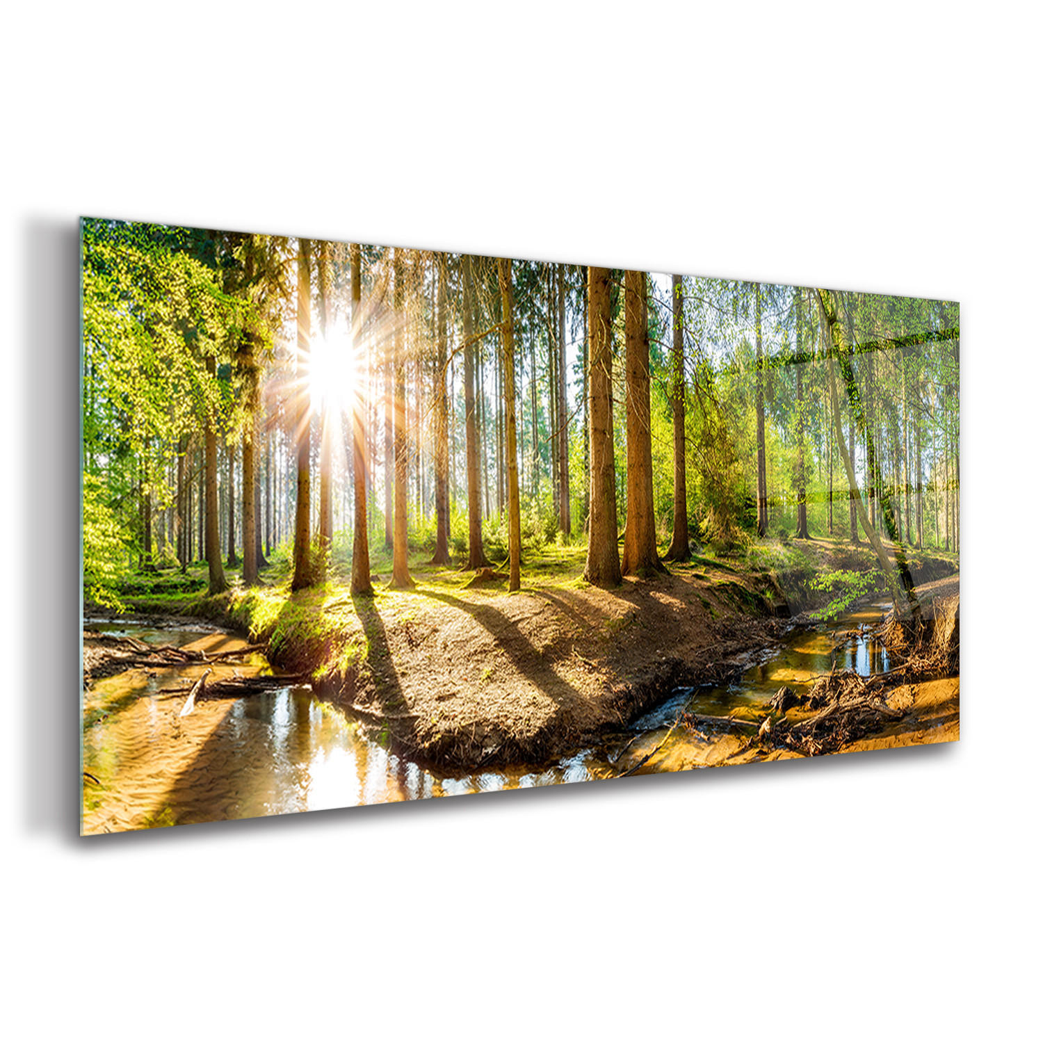 GLASBILD 120x60 cm Landschaftspanorama - Waldgrün, Glas (120/60cm) - TULUP