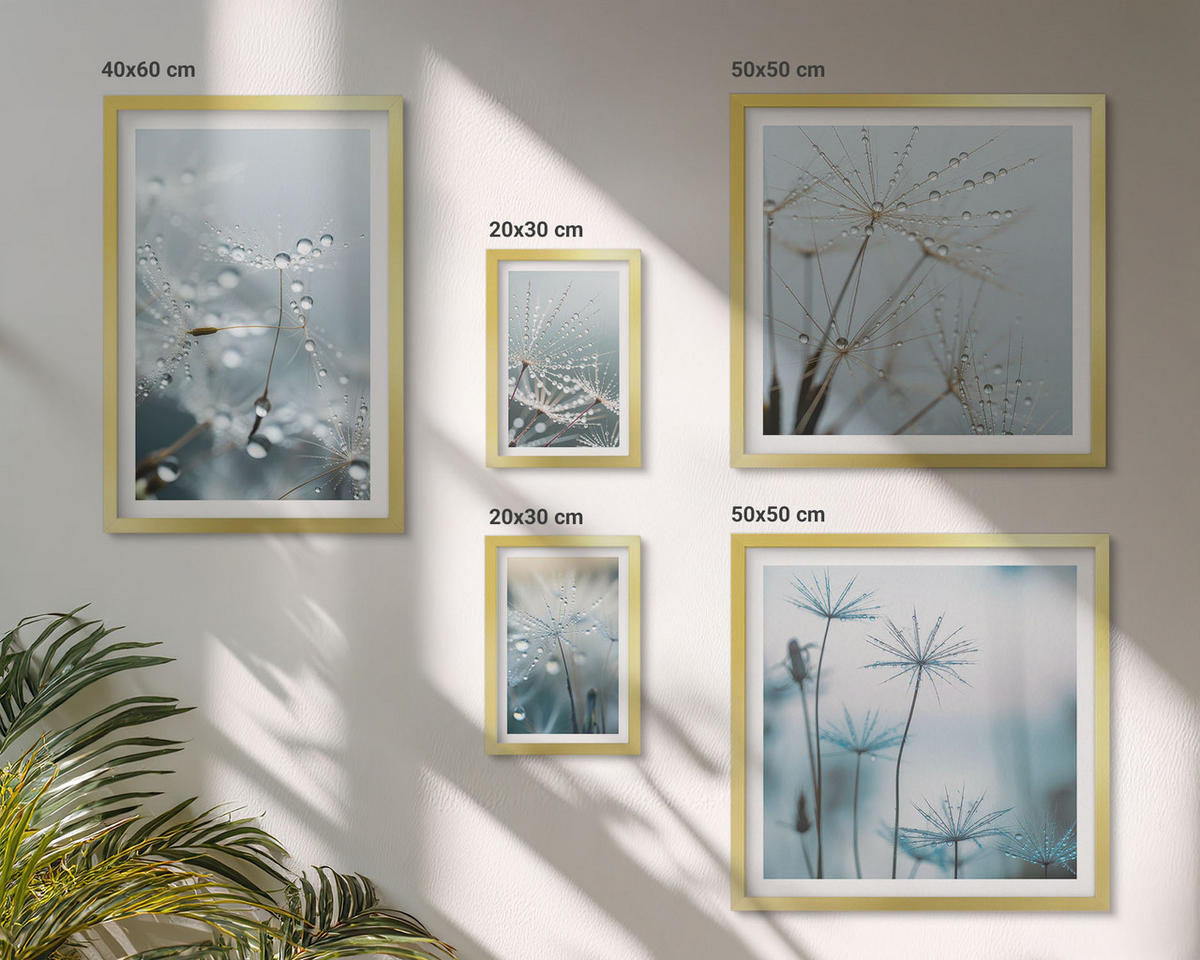 WANDBILDER 5er Set - 50x50 cm & 20x30 cm & 40x60 cm Goldrahmen - Wassertropfen auf Löwenzahnsprossen - Goldfarben, Kunststoff (40/60cm) - ArtPrintCave