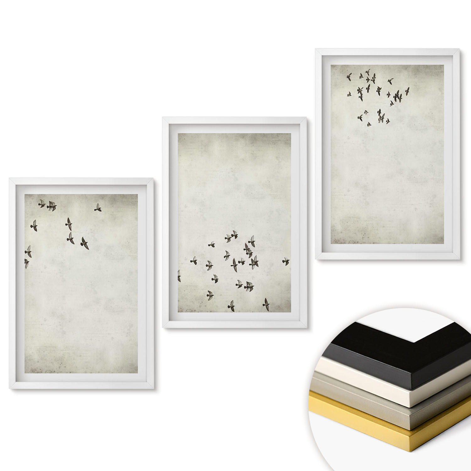 WANDBILDER 3er-Set - 40x60 cm Weißer Rahmen - Minimalistische Vogelmalerei - Weiß, Kunststoff (40/60cm) - ArtPrintCave