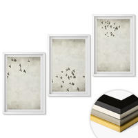WANDBILDER 3er-Set - 40x60 cm Weißer Rahmen - Minimalistische Vogelmalerei - Weiß, Kunststoff (40/60cm) - ArtPrintCave
