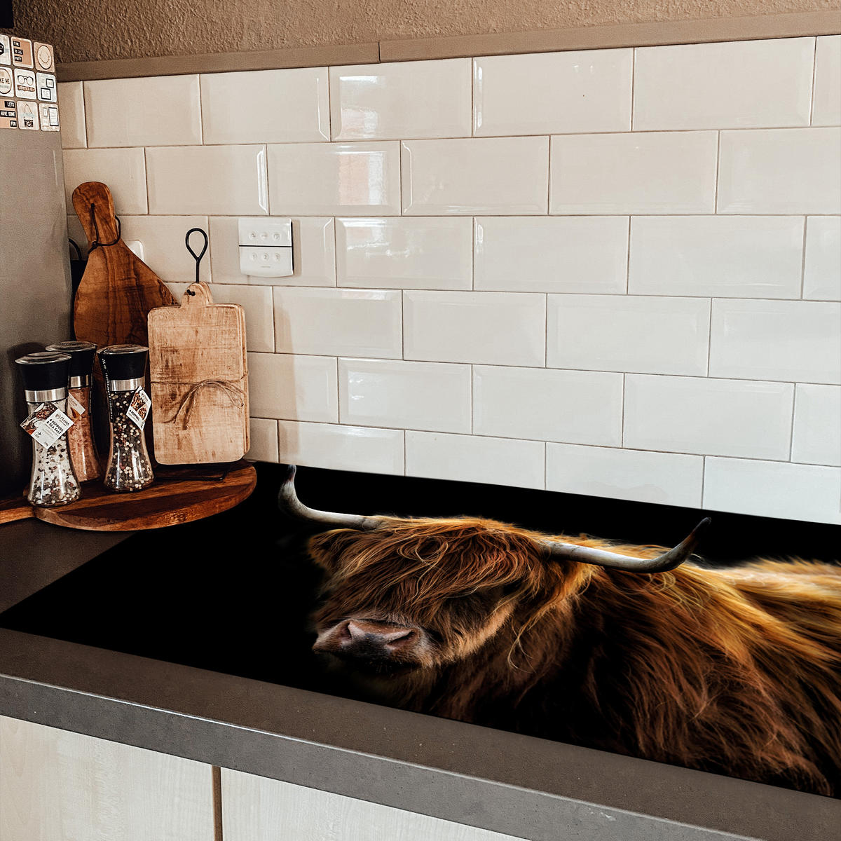 HERDABDECKPLATTE Schottischer Highlander - Hörner - Schwarz - Tiere - Natur - Wild - Kuh Induktionsschutz 91.6x52.7 cm - Cognac, Kunststoff (91.6/52.7/0.2cm) - MuchoWow