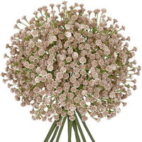 KUNSTBLUMEN Schleierkraut 10 Stück 25 cm Cream - Beige, Kunststoff (60cm)