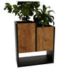 BLUMENKASTEN - Nussbaumfarben, Holzwerkstoff (23/50/44cm) - RAUMHIRSCH FURNITURE