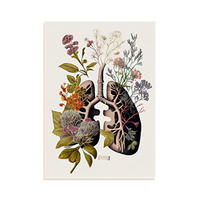 POSTER Set Mit 4 Anatomie Bronchien A3 Rahmenlos - Klar, Papier (29.7/3cm) - Nacnic