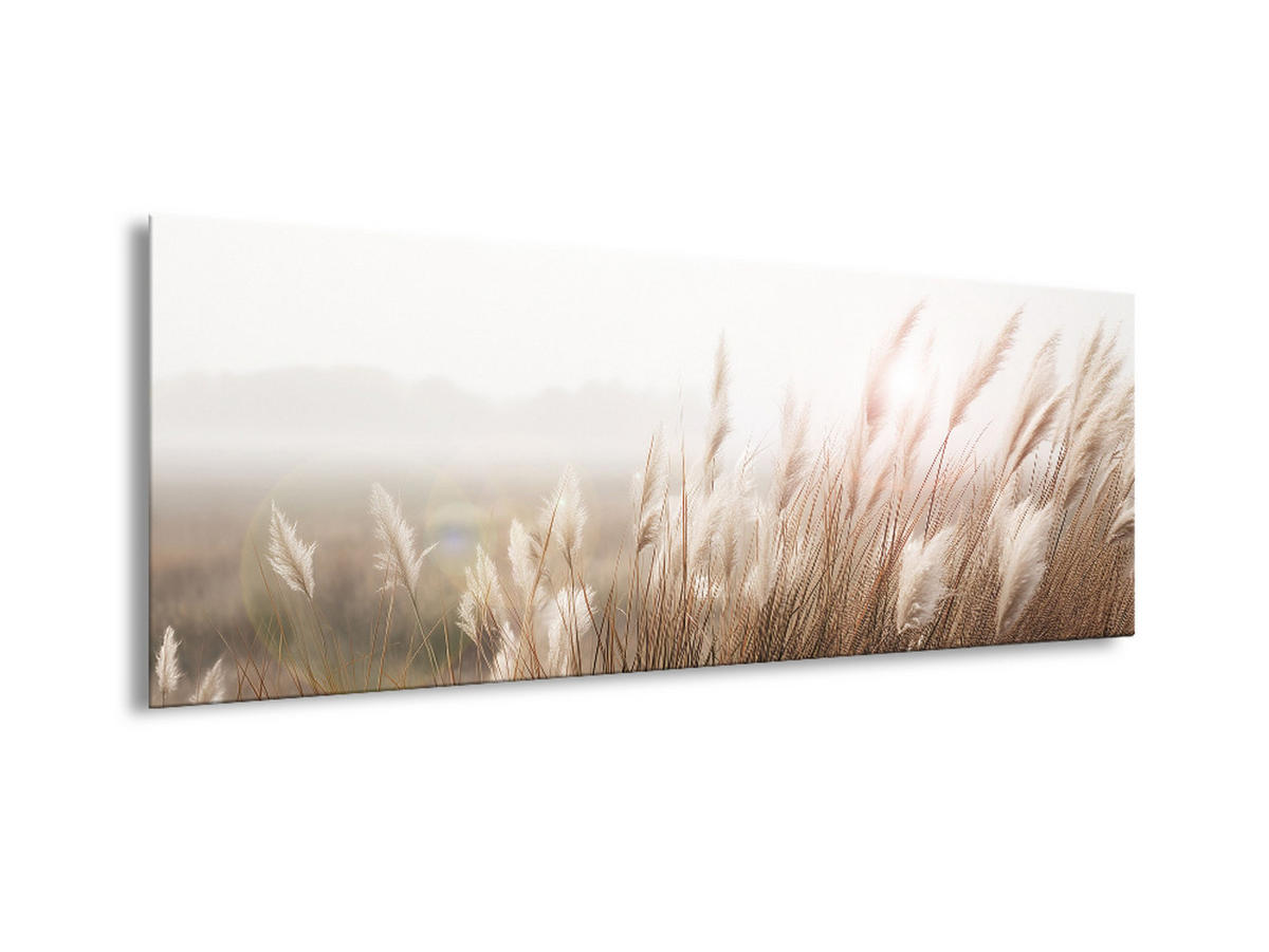 GLASBILD 80x30 cm Pampasgras Natur beige - Beige, Glas (80/30cm) - artissimo