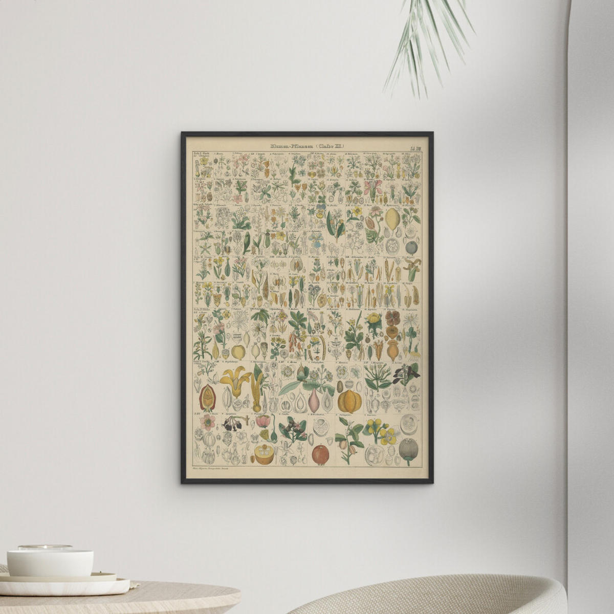 POSTER mit Rahmen Wild Apple - Flora Chart I - Schwarz/Grün, Holz/Papier (50/70cm) - Poster&Frame