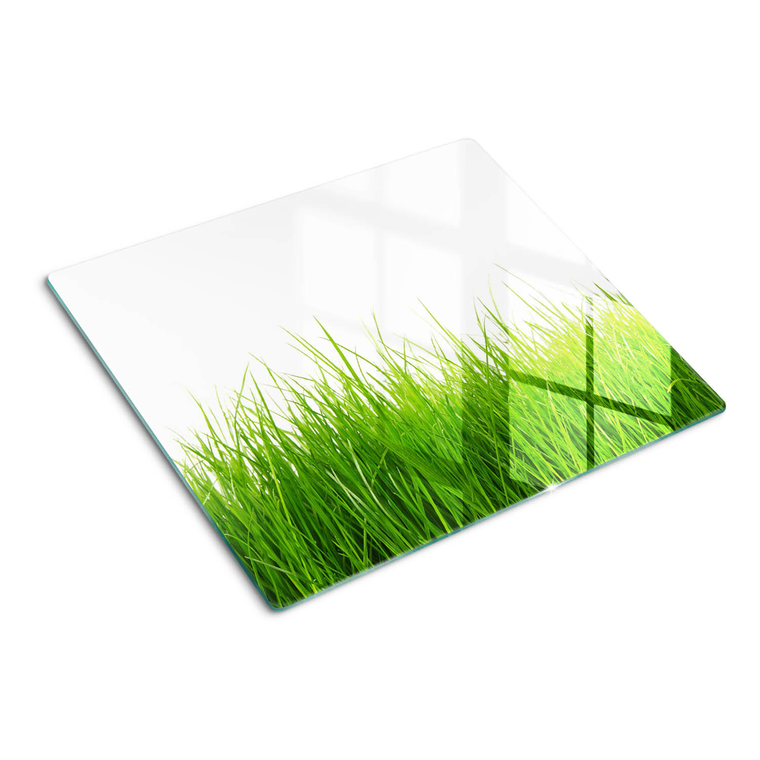 GLASPLATTE 60x52 cm Gras - Grün, Glas (60/0.4/52cm) - TULUP