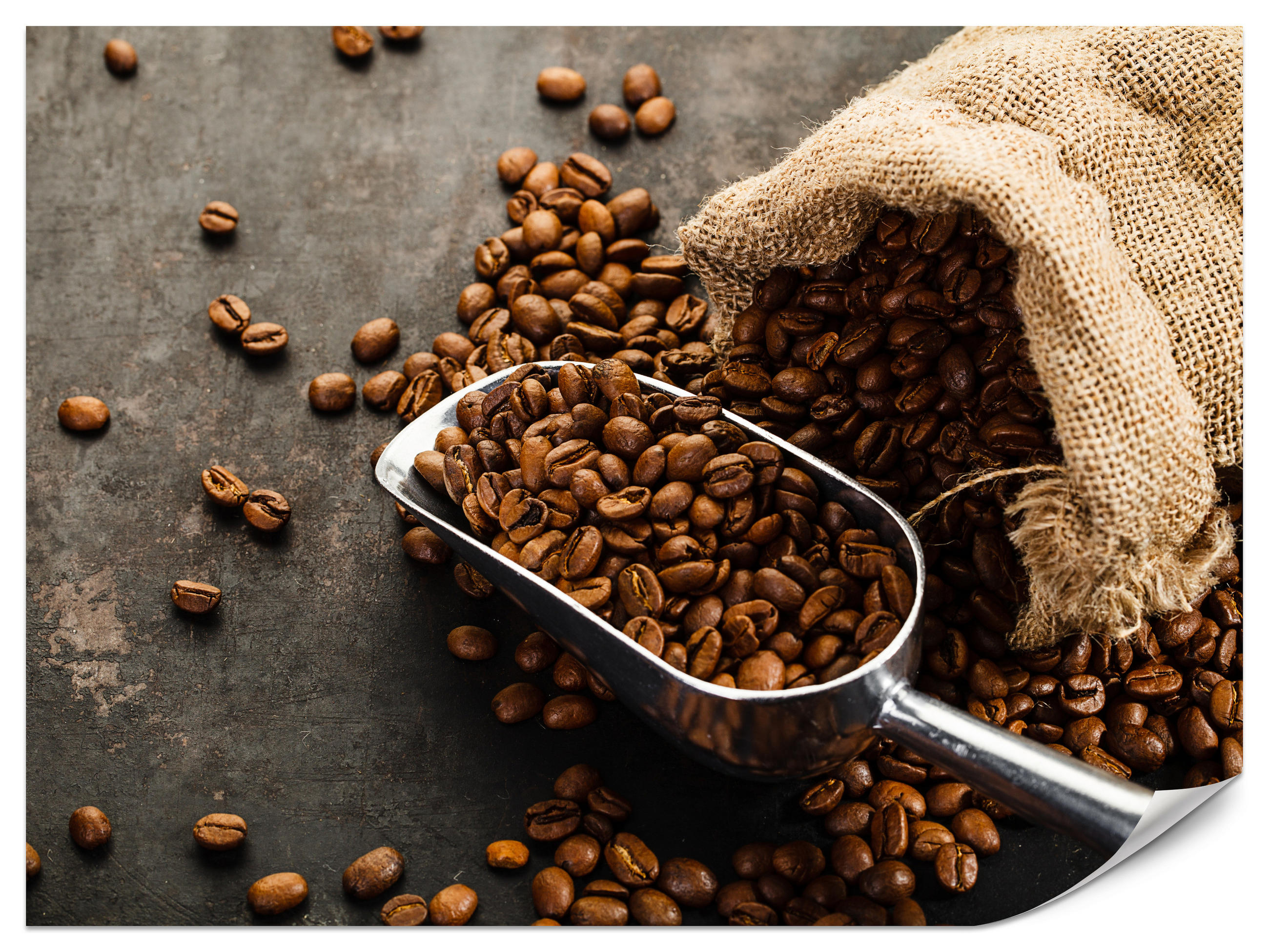 FOTOTAPETE für Küche Beutel mit Kaffeebohnen auf Beton 400x280 - Beige/Schwarz, Papier (400/280cm) - Muralo