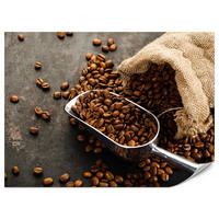 FOTOTAPETE für Küche Beutel mit Kaffeebohnen auf Beton 400x280 - Beige/Schwarz, Papier (400/280cm) - Muralo