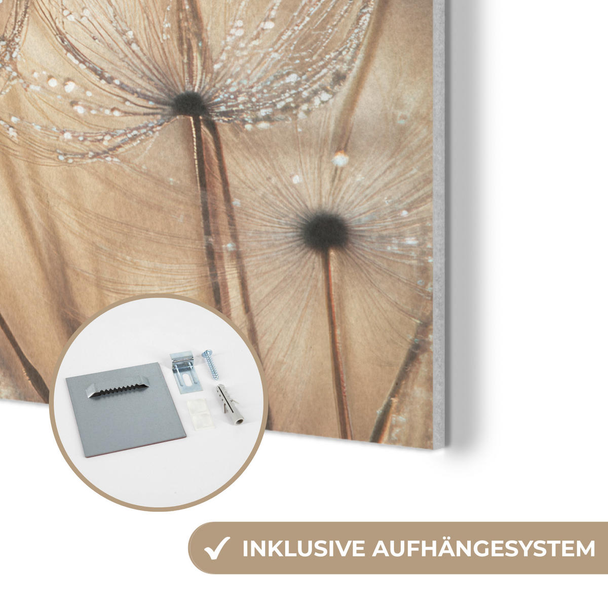 AKUSTIKBILD Löwenzahn - Abstrakt - Natur - Beige Akustikpaneele 90x60 cm - Braun, Kunststoff (90/60/0.9cm) - MuchoWow
