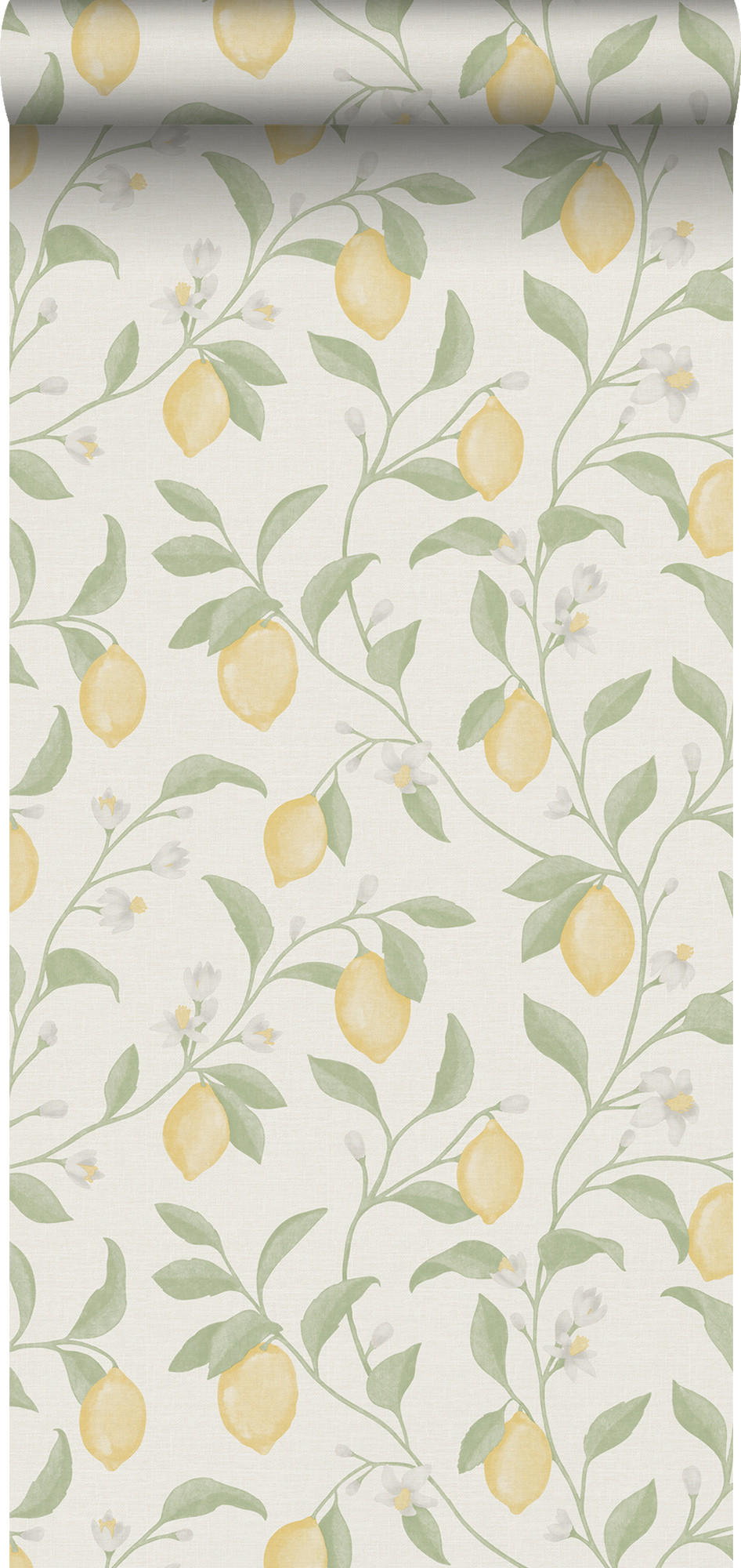 TAPETE Obst 53 cm x 10 m - Weiß, Papier (53/1000cm) - Sanders & Sanders