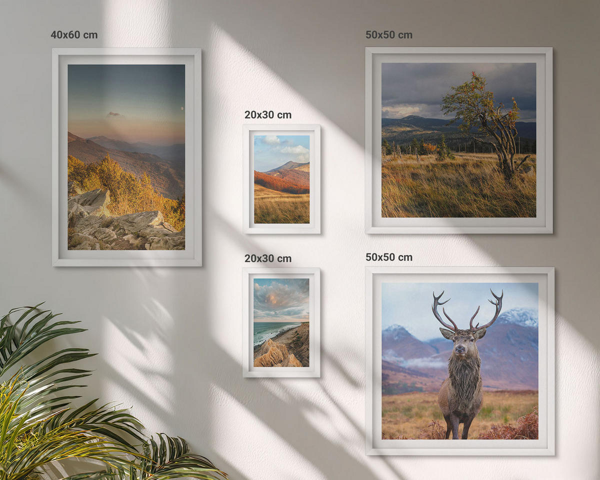 WANDBILDER 5er-Set - 50x50 cm & 20x30 cm & 40x60 cm Weißer Rahmen - Berglandschaften, Hirschgras - Weiß, Kunststoff (40/60cm) - ArtPrintCave