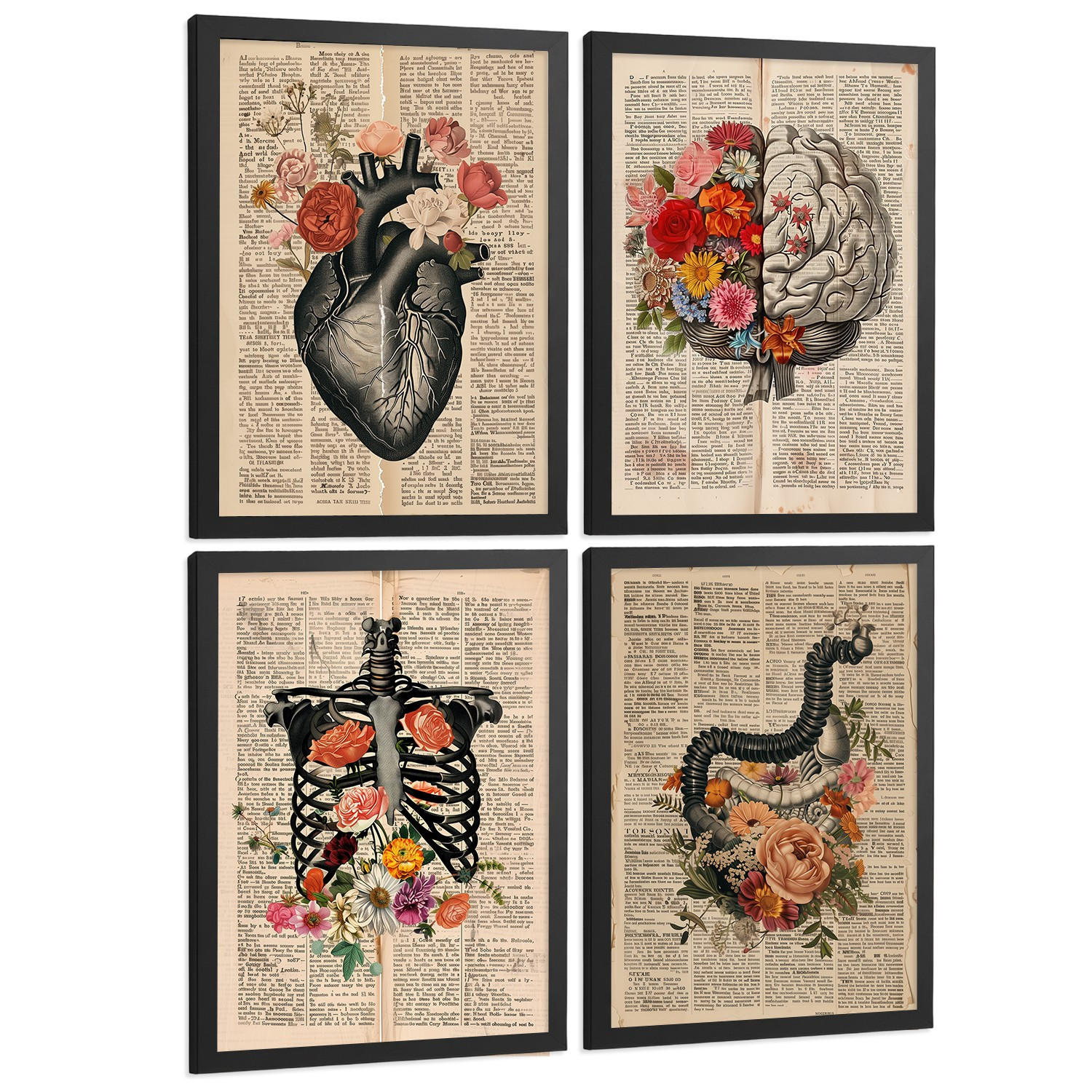 POSTER Set aus 4 Anatomie Drucke und Wandbilder mit Herz Gehirn Skelett und Darm Antiker Hintergrund Wanddekoration Größe Schwarzer Rahmen A4 - Schwarz, Papier (21/29.7/3cm) - Nacnic
