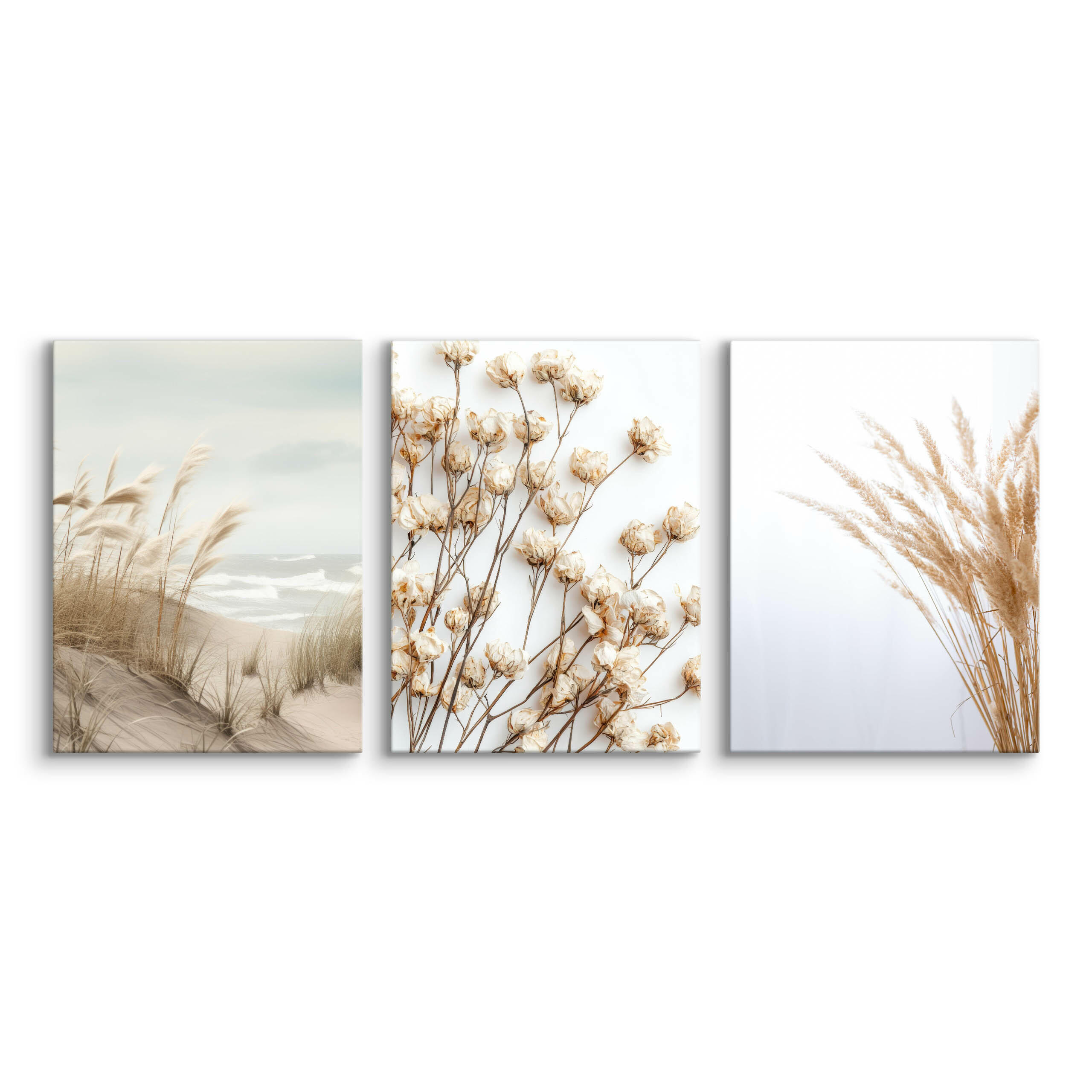 LEINWANDBILDER 3-es Set Pflanzen Strand - Blau/Beige, Textil (90/40cm) - Muralo