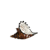 ORNAMENT Muschel Braun 22/10/12 cm - Braun, Glas (10/12/22cm) - Light & Living