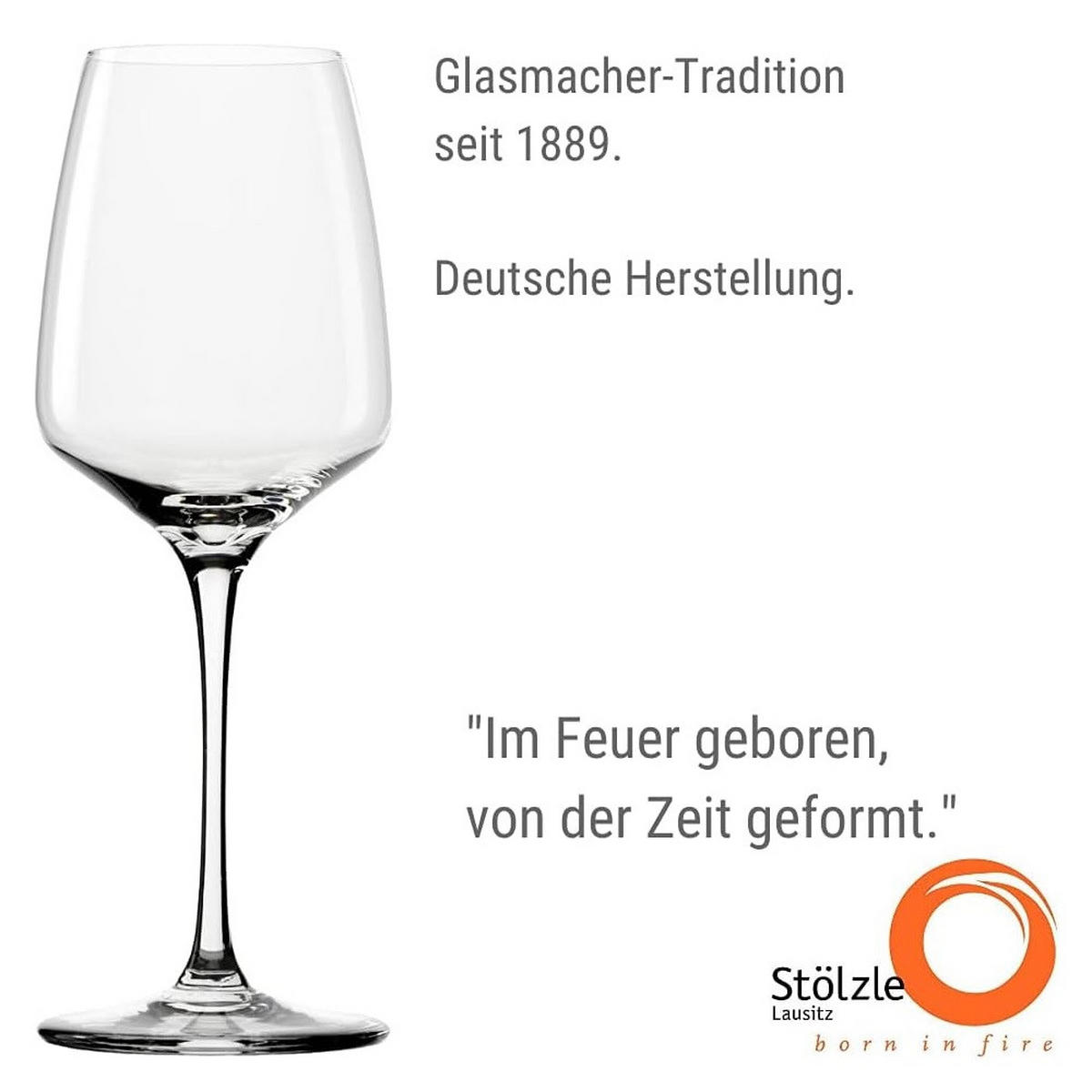 WEISSWEINKELCH Experience 350ml (6 er set) - Transparent, Glas (0.35L) - Stölzle